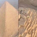 Perrito es captado en la cima de la gran Pirámide de Giza en Egipto