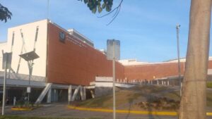 Reportan el deceso del segundo caso de rabia humana en México durante 2025