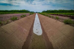 Tecnificación de riego en Morelos recuperará 55 millones de metros cúbicos de agua