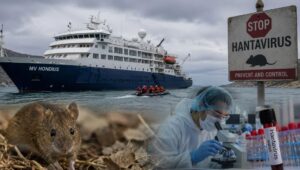 Hantavirus: estos son los países en donde se han registrado más contagios en los últimos años tras alerta por crucero