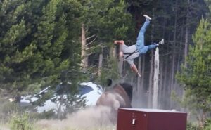 Turista embestido por un bisonte en Yellowstone relata el ataque: “El problema fue el aterrizaje”